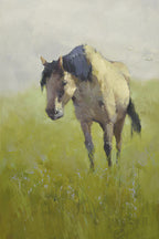 24x36 oil painting on canvas of horse on field 4199284 image 0